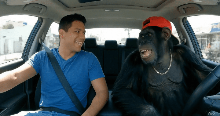 Chiste la Voz del GPS